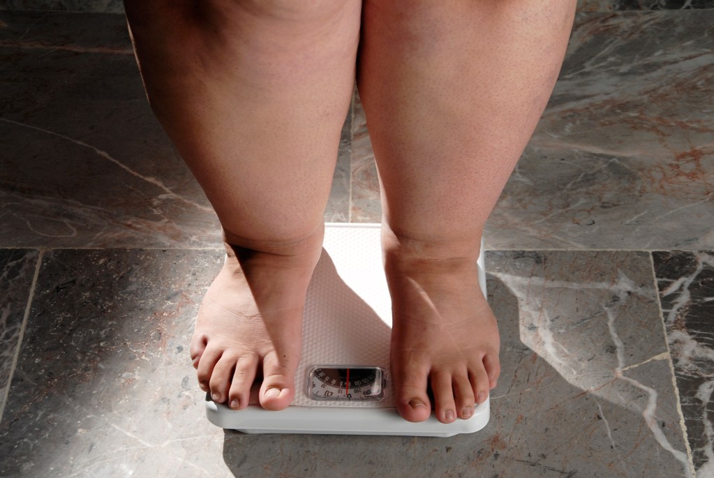 Fit Fusion Hacks Fat Acceptance Run Amok! - David's Way to Health and Fitness