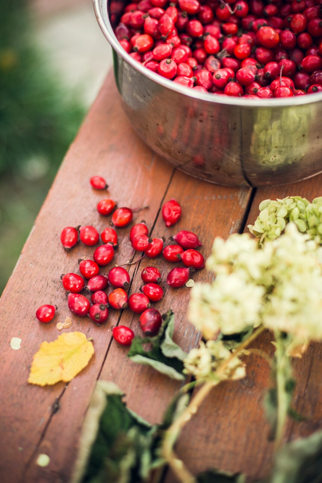 Fit Fusion Hacks Sugar Free Cranberry Sauce - David's Way to Health and Fitness