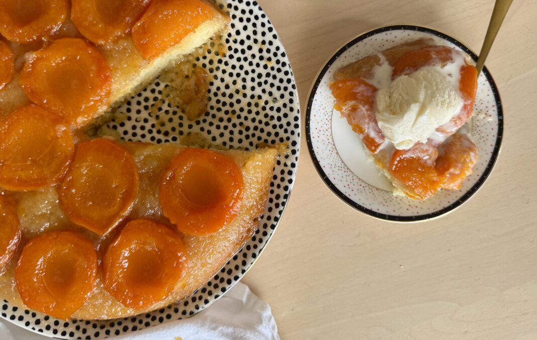 Fit Fusion Hacks Apricot Tart - SHK