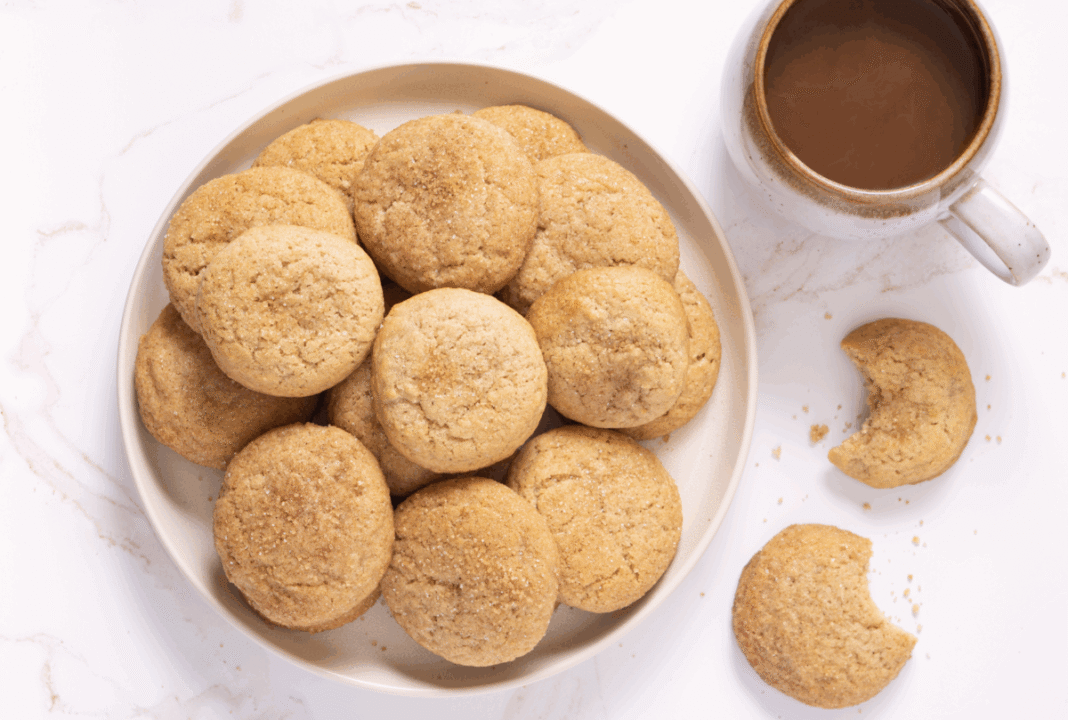 Fit Fusion Hacks Snickerdoodle Cookie Recipe - SHK